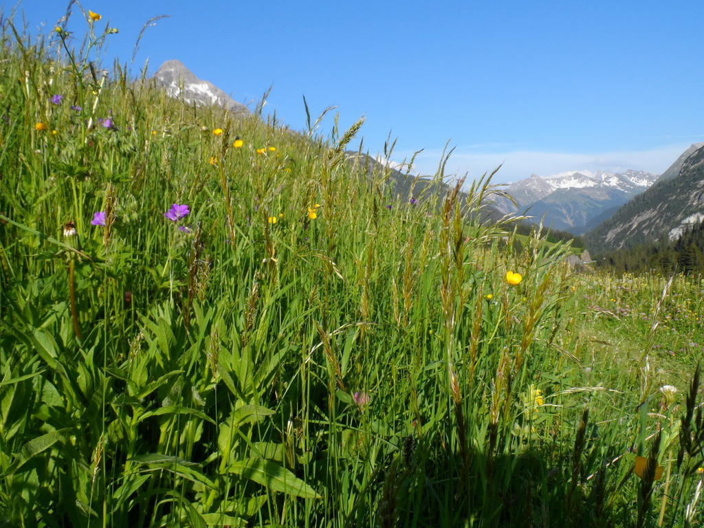 Haus Brunneck Διαμέρισμα Warth  Εξωτερικό φωτογραφία